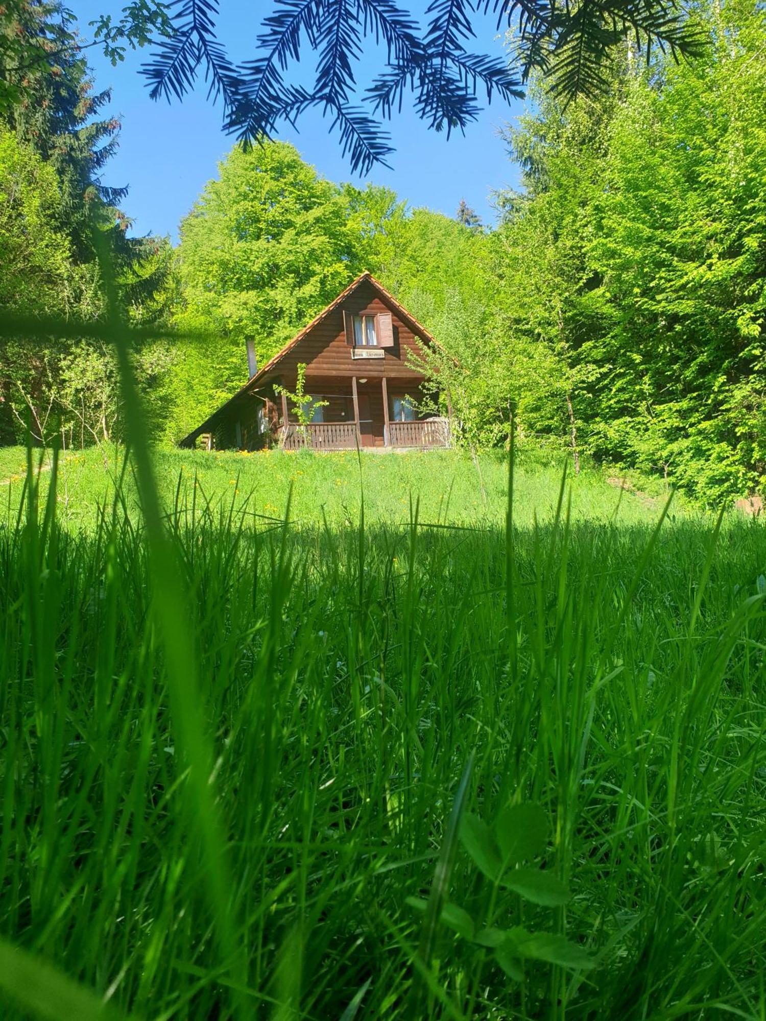 Casa Lacramioara Sîmbăta de Sus 외부 사진