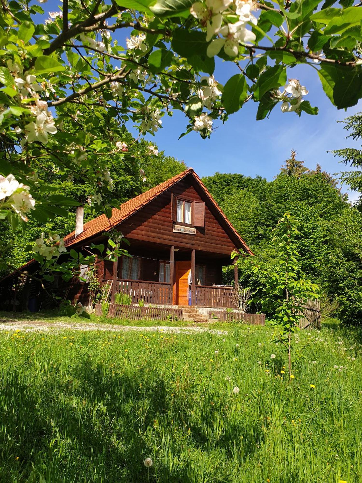Casa Lacramioara Sîmbăta de Sus 외부 사진
