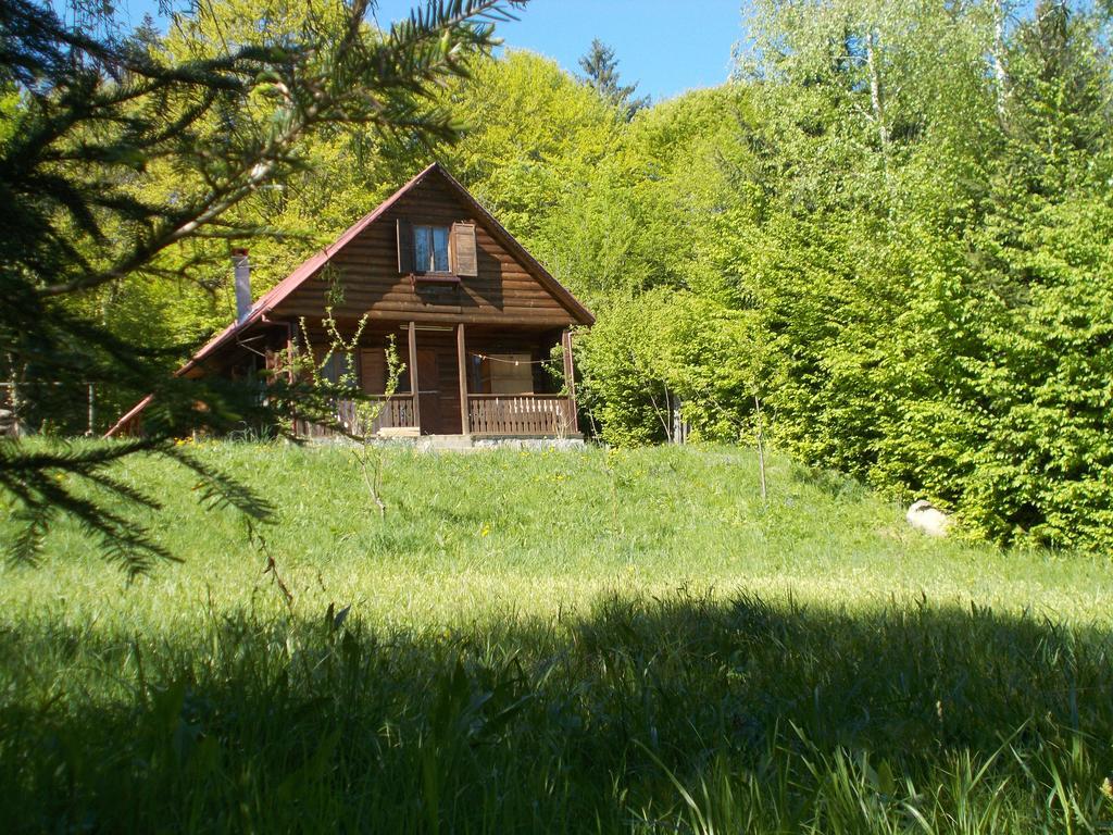 Casa Lacramioara Sîmbăta de Sus 외부 사진