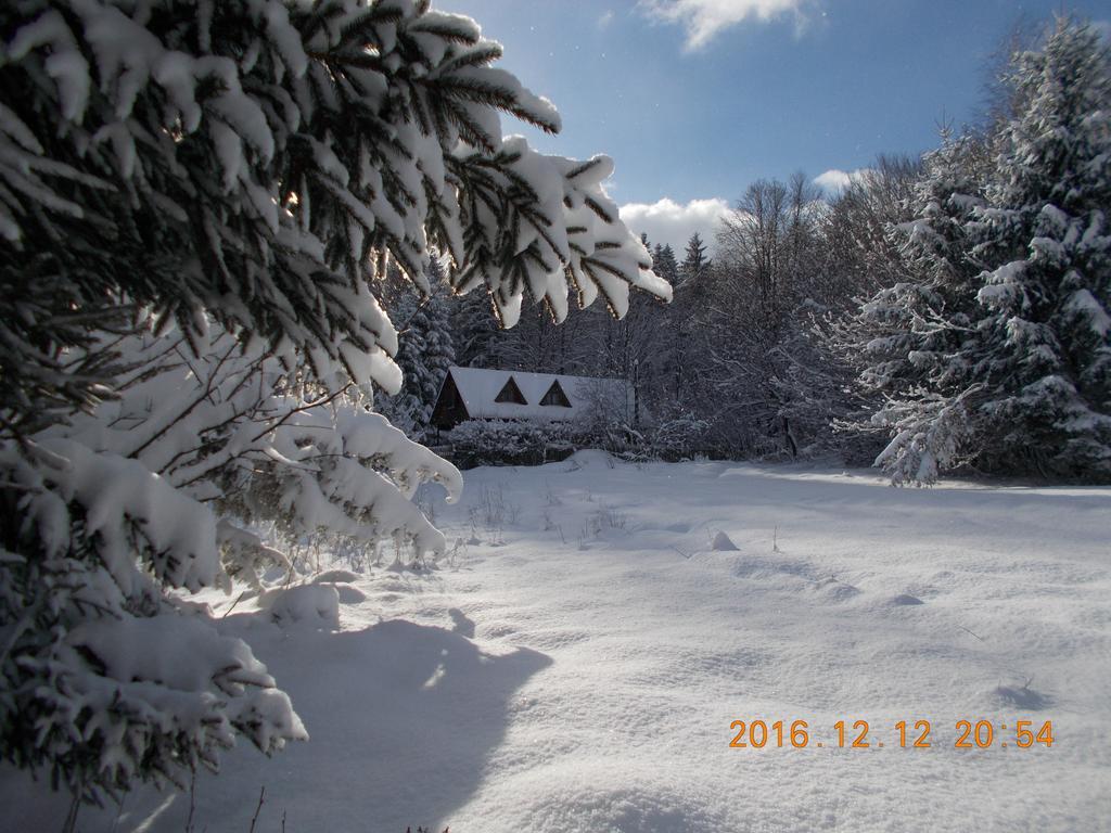 Casa Lacramioara Sîmbăta de Sus 외부 사진